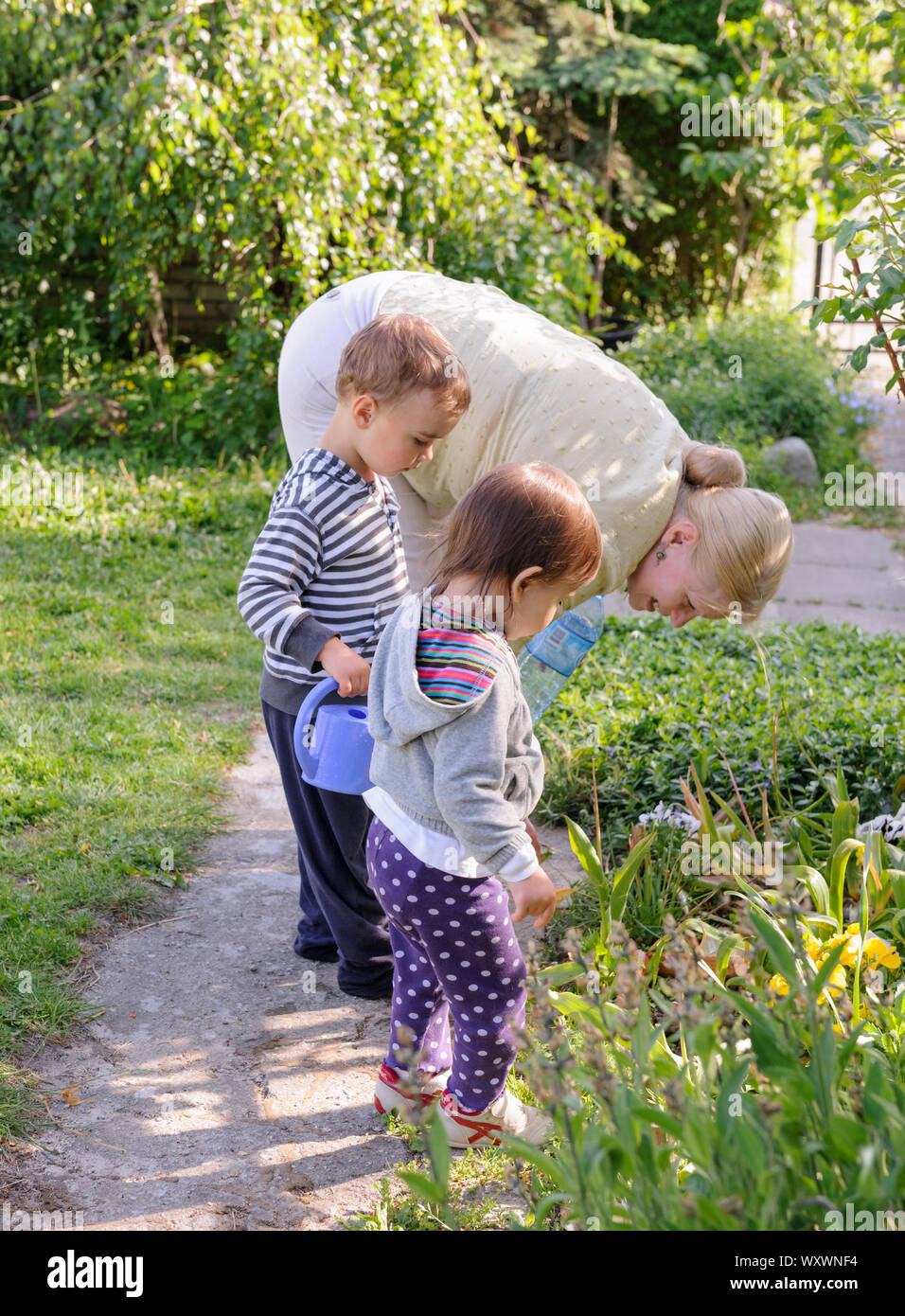 Großmutter mit Enkelkindern, die Pflanzen bewässern. Sommerzeit. Stockfoto