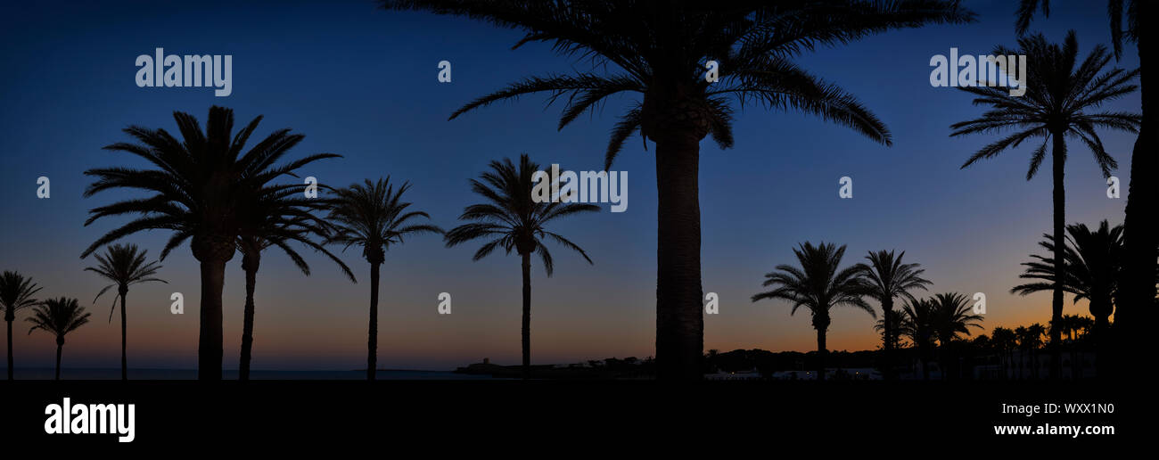 Panorama der Silhouetten von Palmen bei Sonnenuntergang auf Mefiterranean Insel Menorca Stockfoto