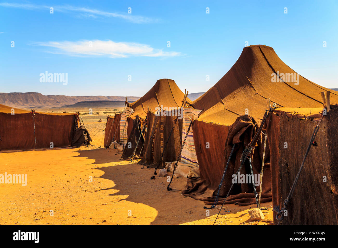 Nomad Zelte mitten in der Wste mit Bergen im Hintergrund an einem sonnigen  Tag Stockfotografie - Alamy