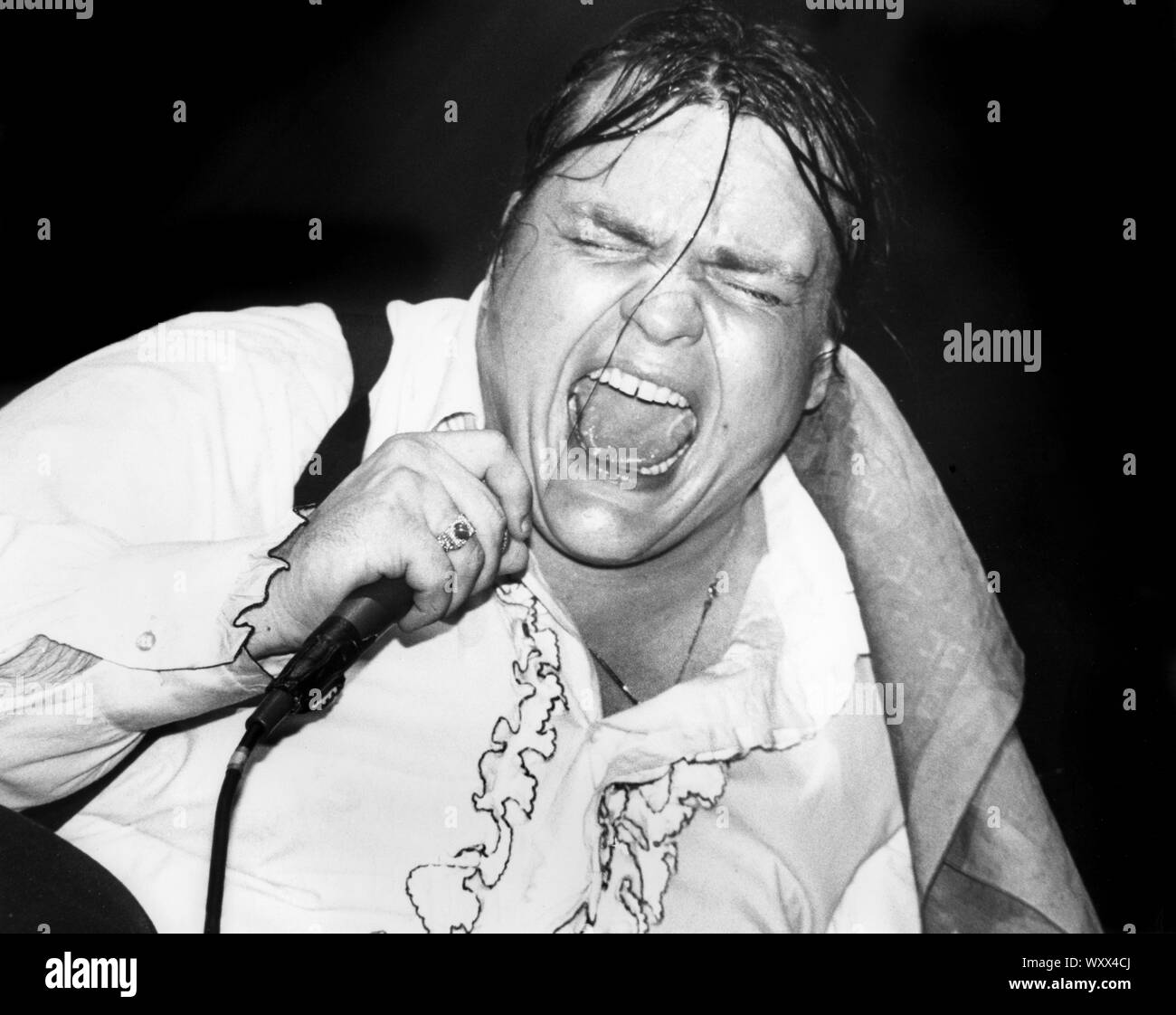 Meat Loaf auf der Bühne an der Dr. Pepper Music Festival im Central Park, New York City, 1978 Stockfoto