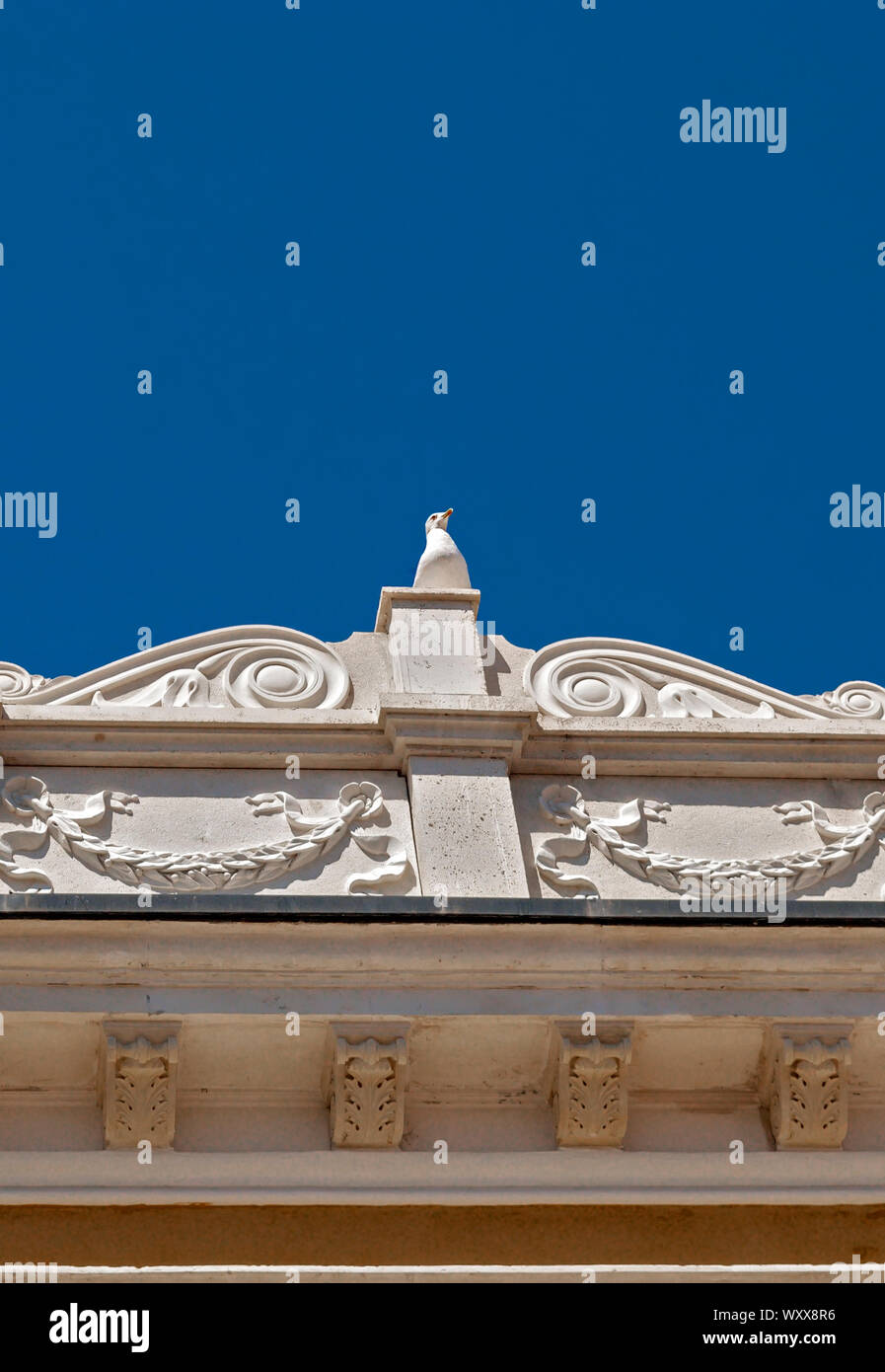 Möwe auf dem Dach eines Gebäudes als dekoratives Element zu ergänzen; Stockfoto