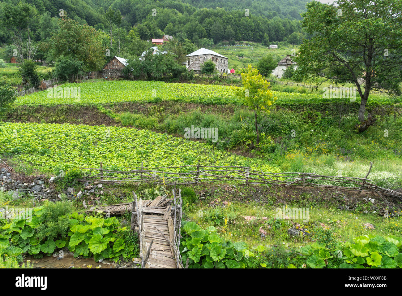 Landwirtschaft im abgelegenen Dorf Çerem in den albanischen Alpen, auch als die verfluchten Berge bekannt, im Valbona Valley Nationalpark, Nord-ostern Stockfoto