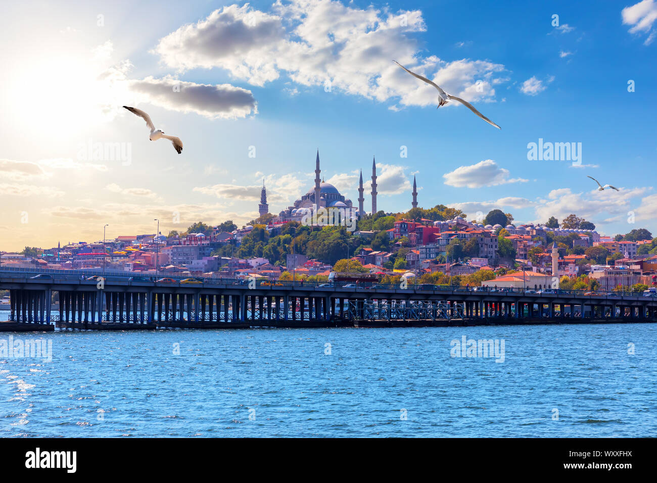 Die Süleymaniye-moschee, schöne Aussicht auf den Bosporus in Istanbul, Türkei Stockfoto