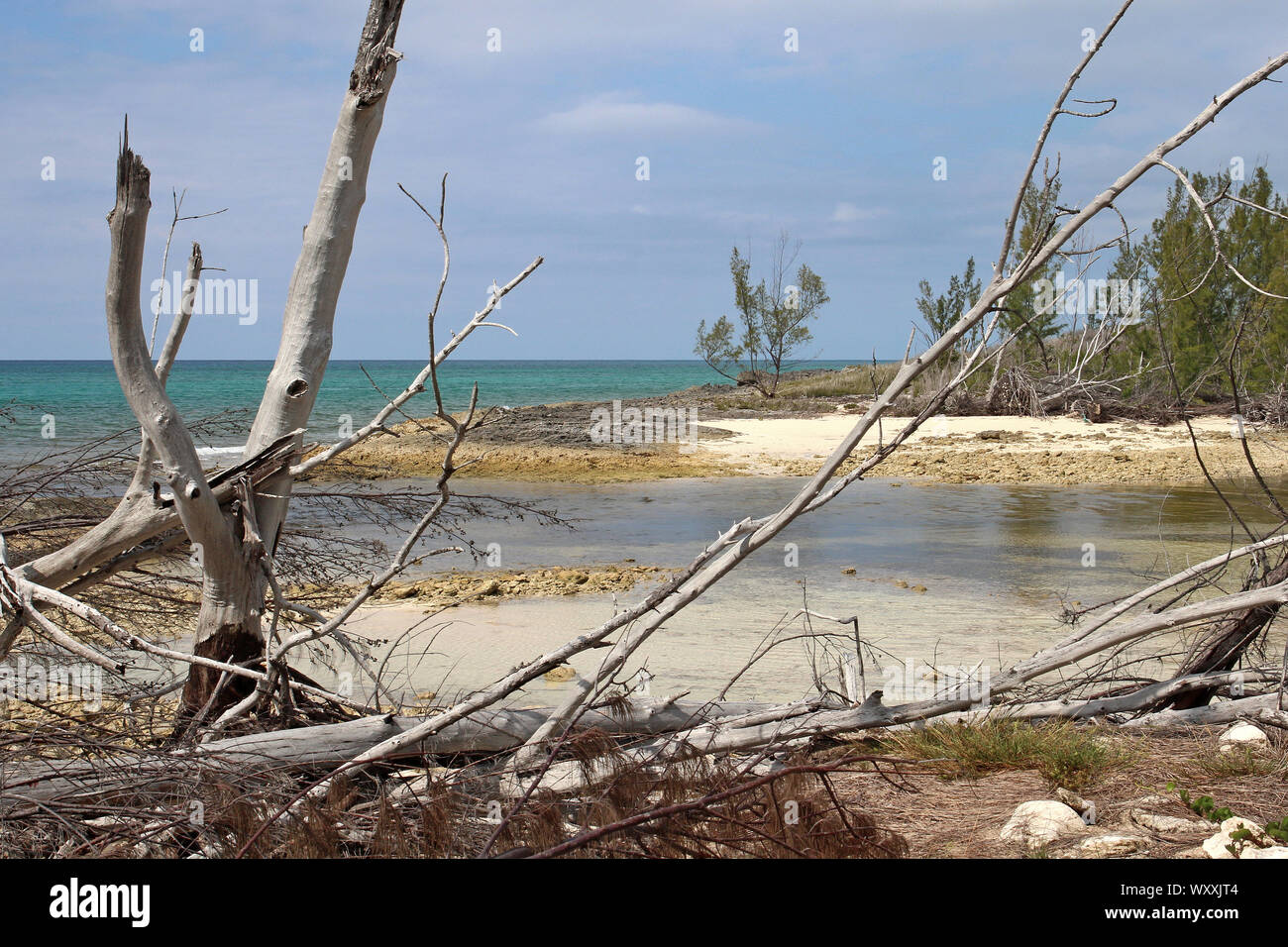 Eine Küstenlinie Szene, einer kleinen Bucht an der Südküste von Grand Bahama Island noch Anzeichen von Schäden aus früheren Hurrikane vor Dorian. Stockfoto