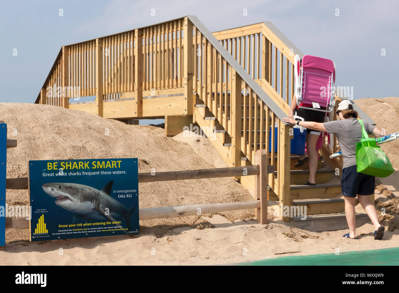 Shark Warnschild Geschrieben am Strand Eingang in Truro, Massachusetts. Stockfoto