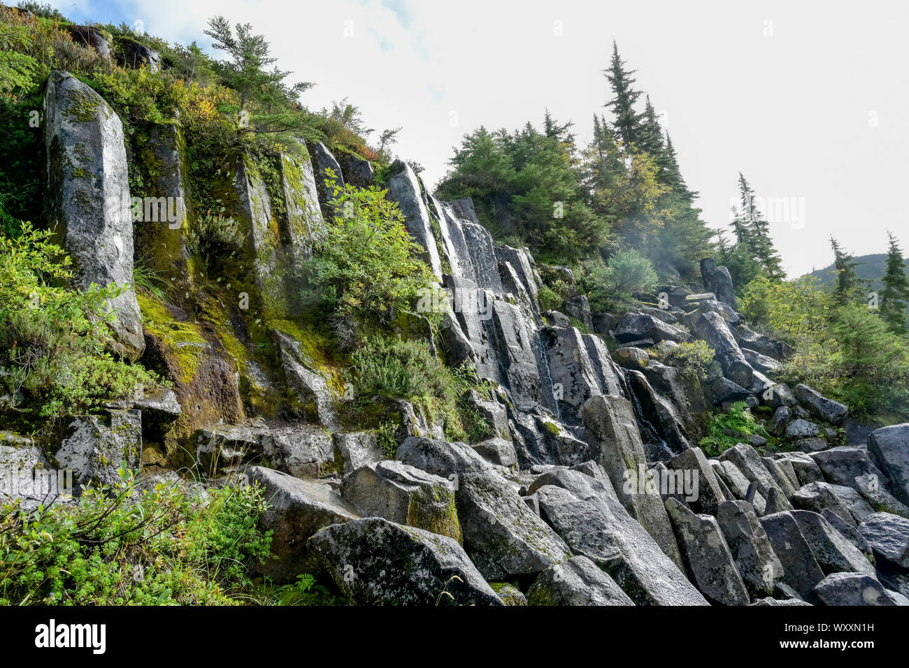 Basaltsäulen, Bagley Seen Trail, Mount Baker, Washington, USA Stockfoto
