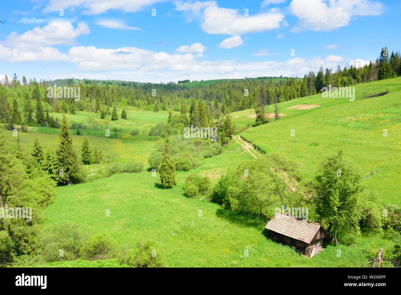 Svaliava, Swaljawa: Karpaten, Hütte, transkarpatischen Oblast Transkarpatien, Gebiet Kiew, Ukraine Stockfoto