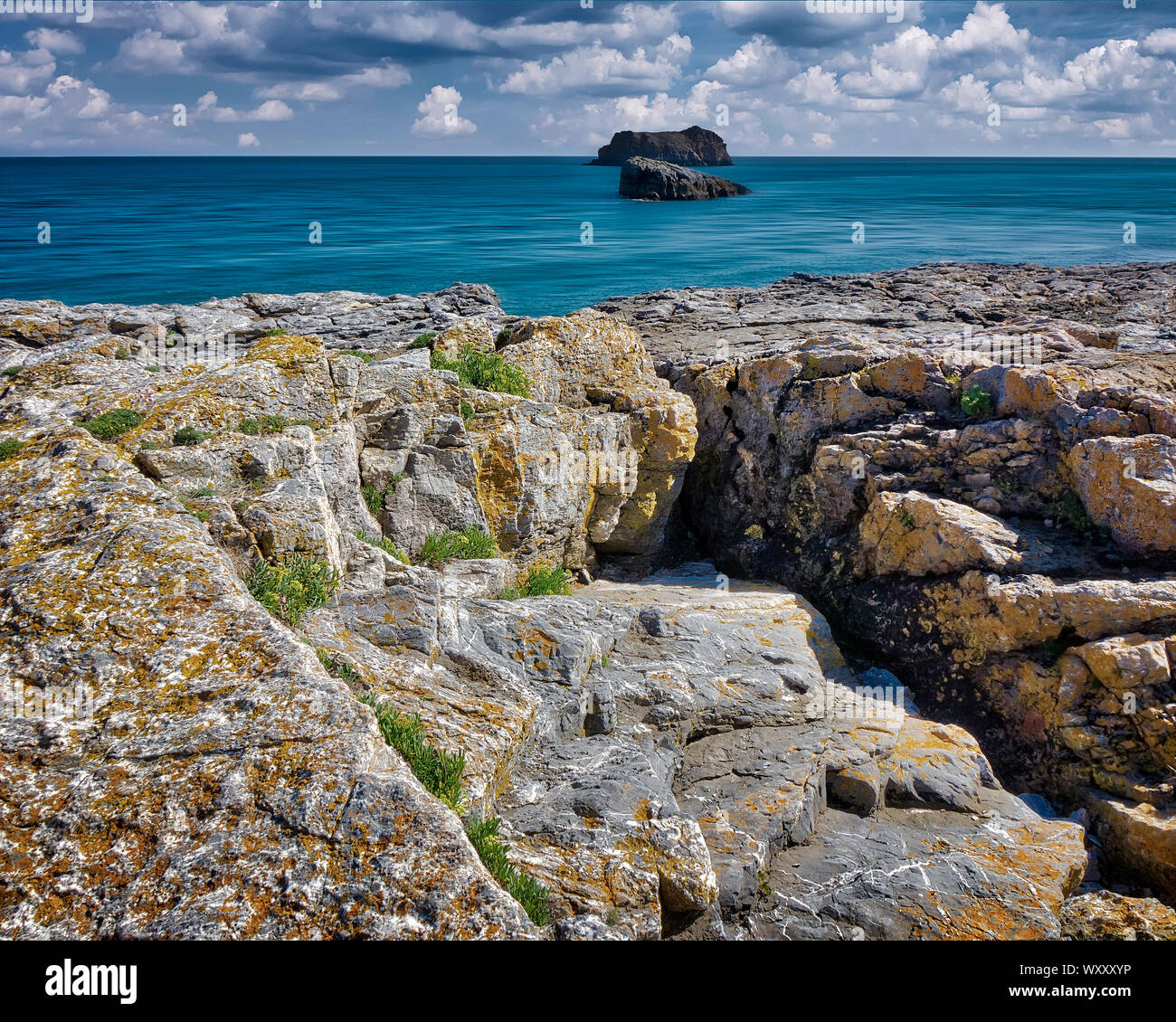 De - Devon: Küsten Szene an Nase Landspitze der Hoffnung in der Nähe von Torquay Stockfoto