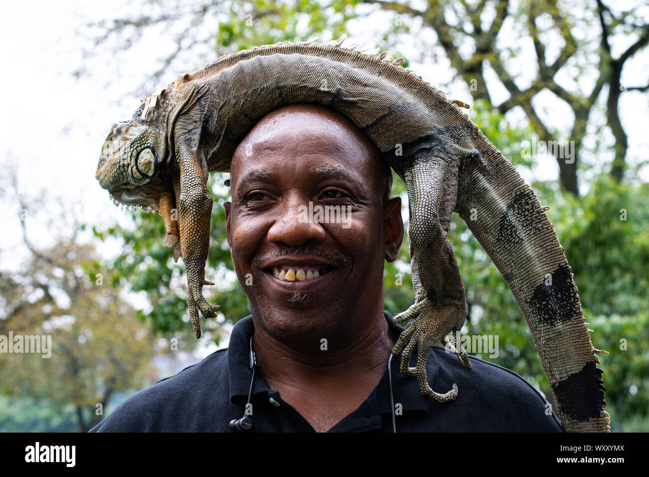 Ein Mann hat sich einen Leguan in-Kopf gelegt und damit posiert vor der Kamera Stockfoto