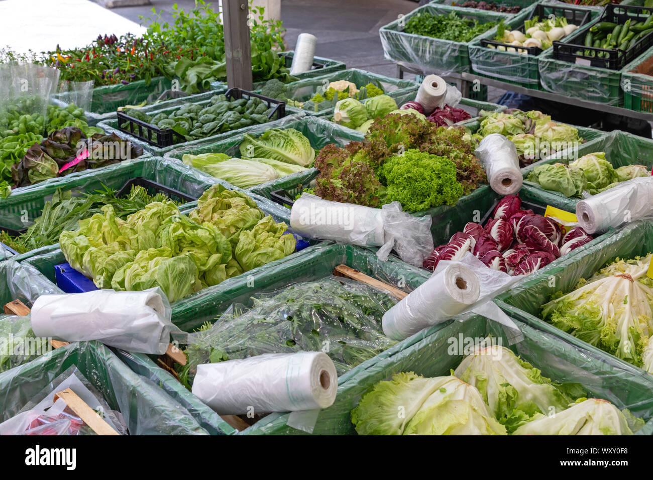 Frisches Blattgemüse Gemüse am Marktstand Stockfoto
