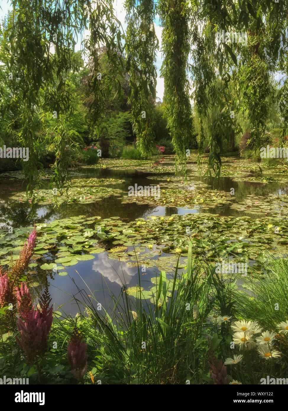 Nenuphar Garten von Claude Monet in Giverny (Normandie, Frankreich). Stockfoto