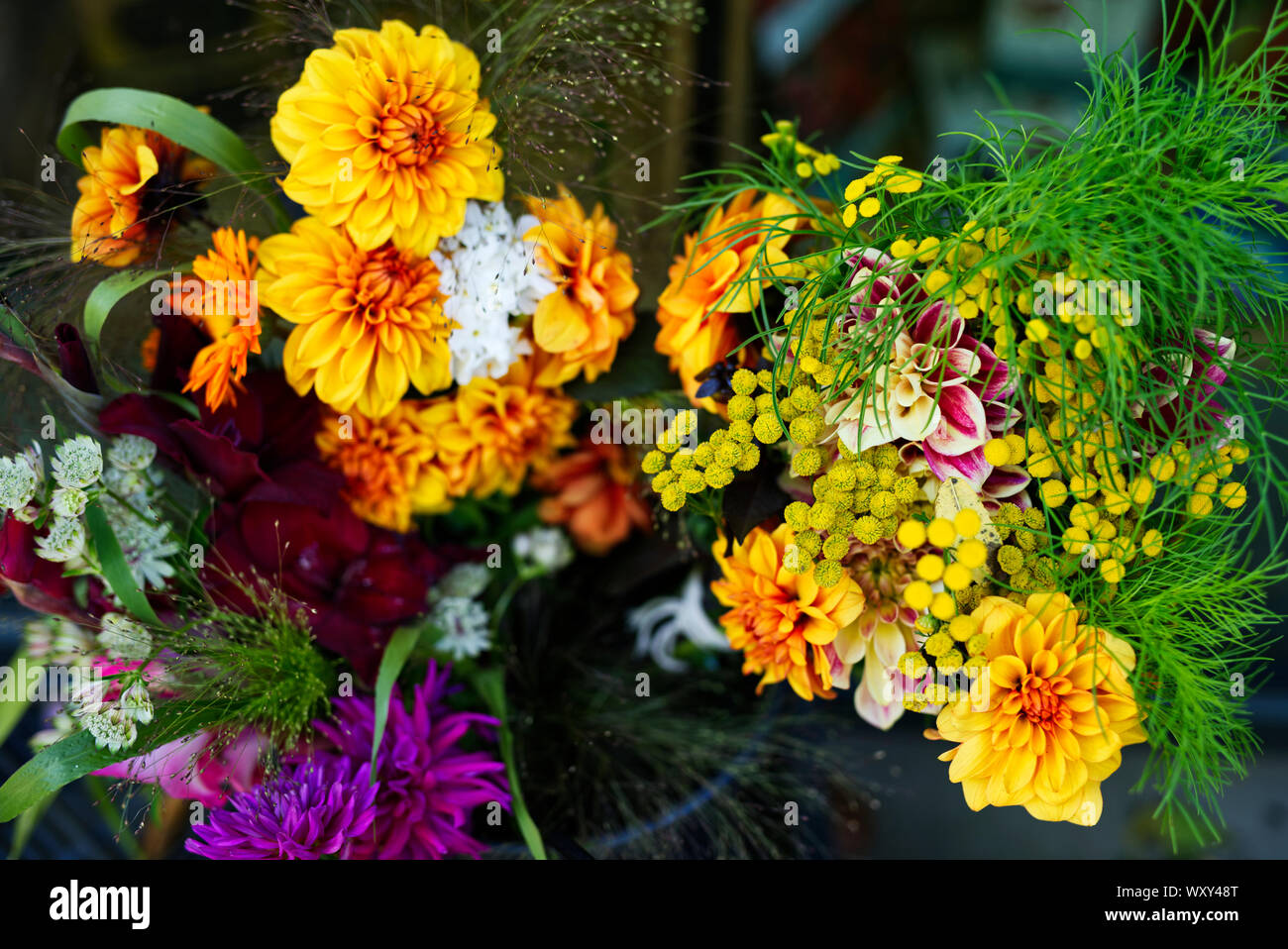 Schnittblumen auf dem Display und zum Verkauf Stockfoto