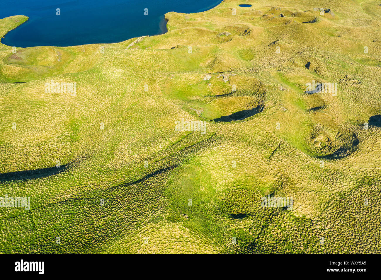 Landschaft des Sees Myvatn mit grünen Pseudokrater und Inseln an. beliebtes Reiseziel im Norden von Island, Europa Stockfoto