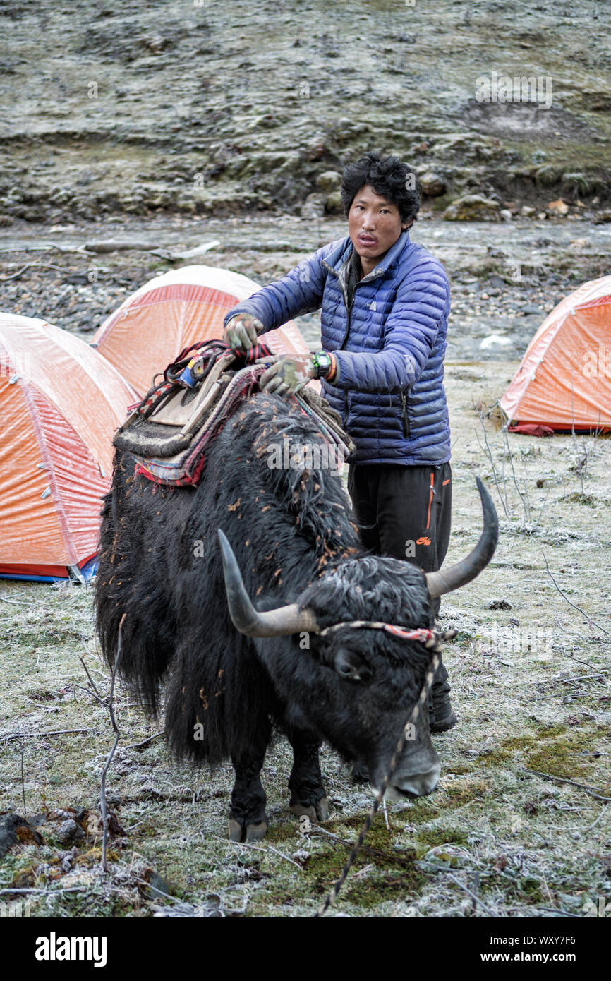 Yak herder an Maurothang Biwak, Wangdue Phodrang Bezirk, Snowman Trek, Bhutan Stockfoto