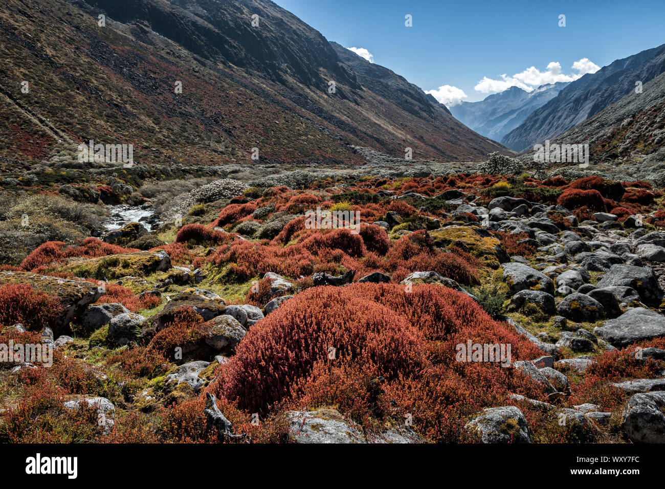 Schöne bunte und isolierten Tal, Wangdue Phodrang Bezirk, Snowman Trek, Bhutan Stockfoto