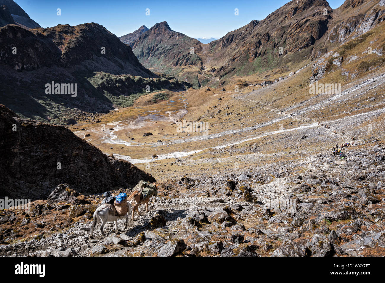 Abstieg Richtung Maurothang, Wangdue Phodrang Bezirk, Snowman Trek, Bhutan Stockfoto