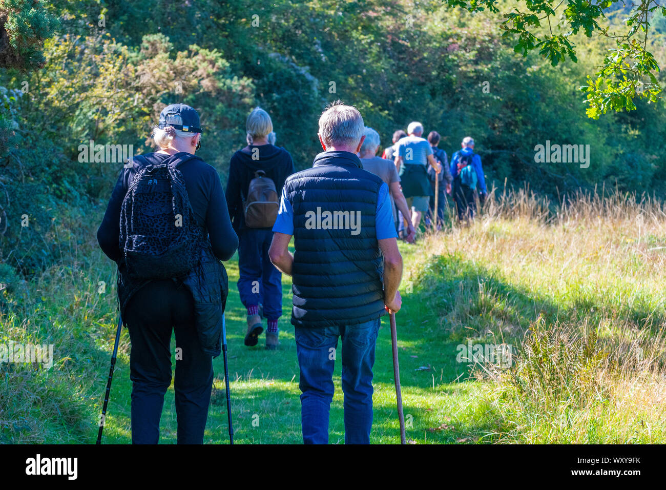 Gruppe von Wanderern zu Fuß auf einem der größten Gebiete der alten Kreide Downland auf Harting Down, einem renommierten Naturschutzgebiet in West Sussex, England, Großbritannien Stockfoto