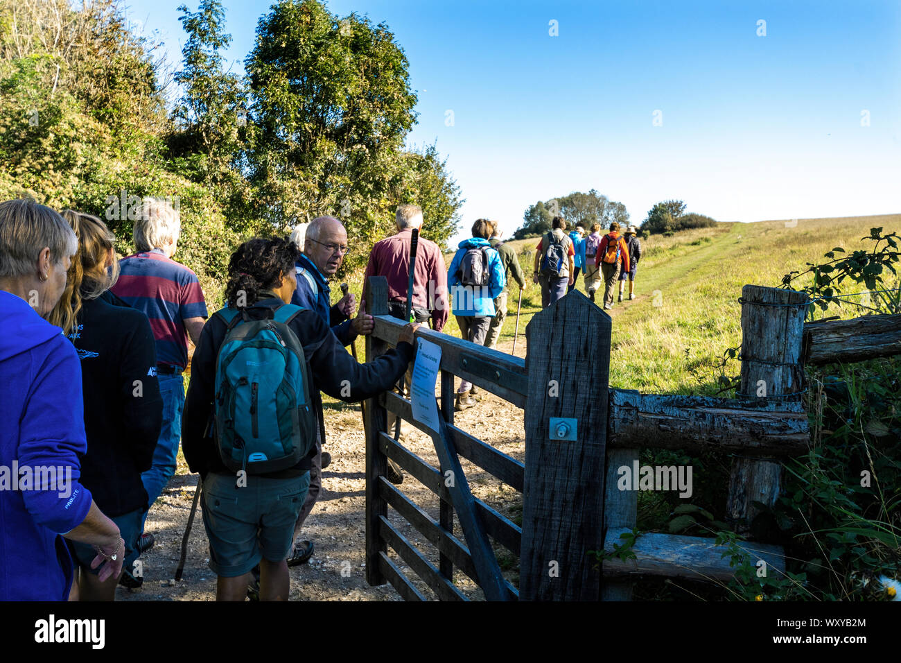 Gruppe von Wanderern zu Fuß auf einem der größten Gebiete der alten Kreide Downland auf Harting Down, einem renommierten Naturschutzgebiet in West Sussex, England, Großbritannien Stockfoto