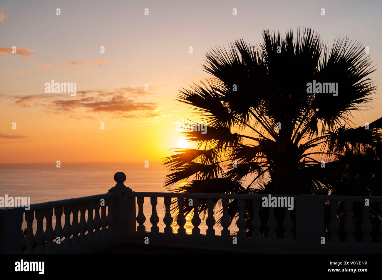 Meerblick Terrasse mit Sonnenuntergang Himmel Hintergrund und Palm Tree- Stockfoto