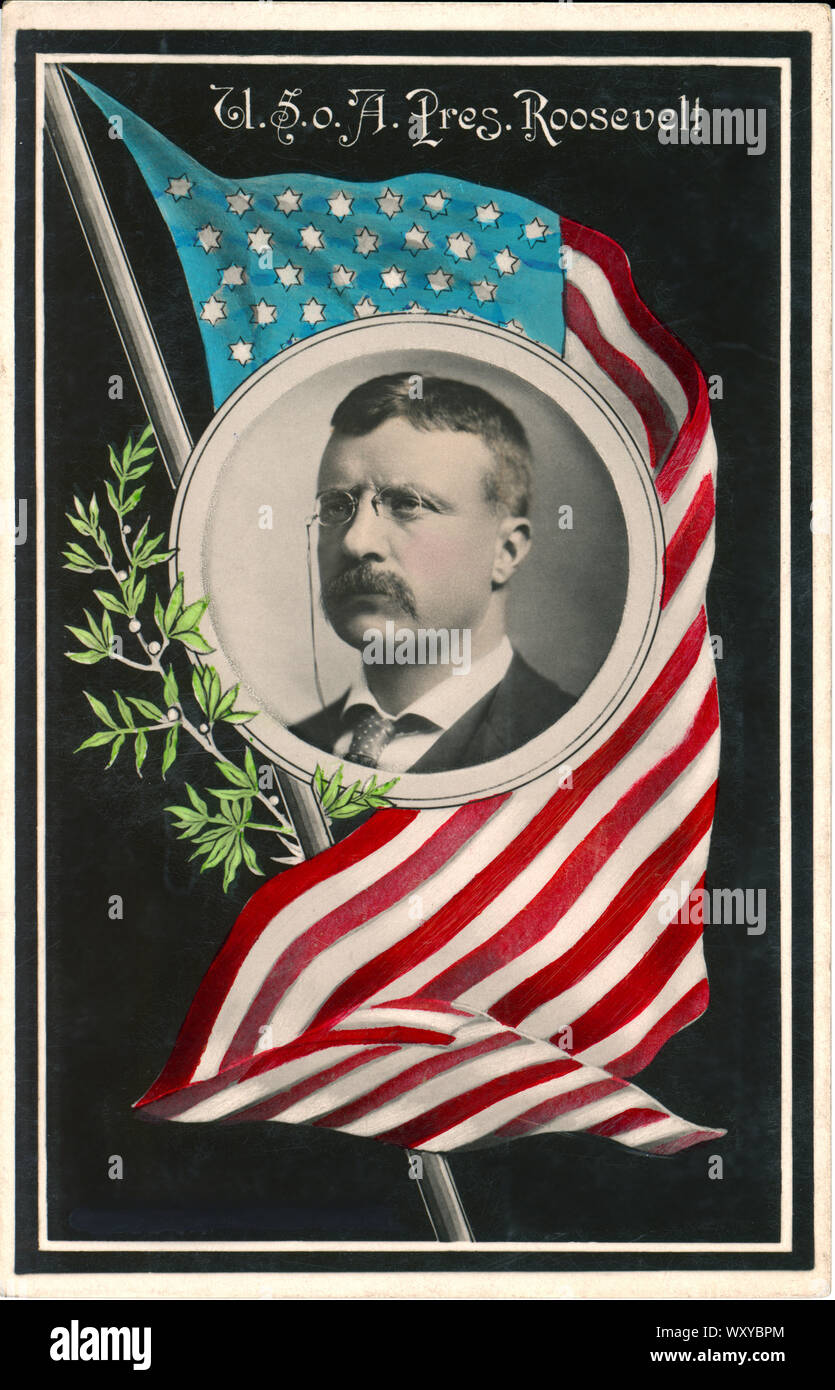 Us-Präsident Theodore Roosevelt, Kopf und Schultern Portrait, Hand-Colored Postkarte, 1907 Stockfoto