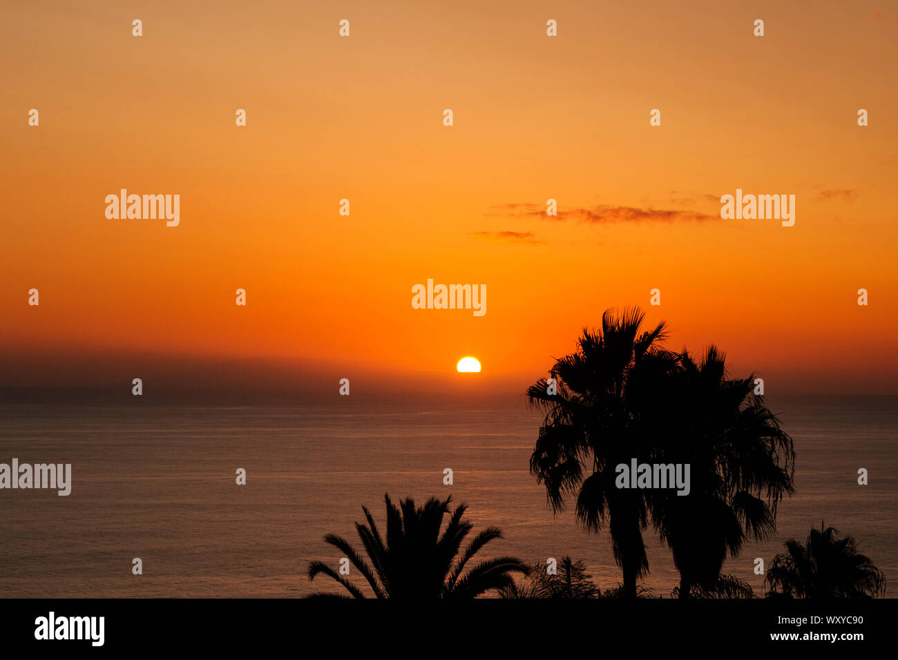 Einen malerischen Sonnenuntergang Himmel mit Blick auf das Meer im Hintergrund und Palm Tree Silhouette Stockfoto