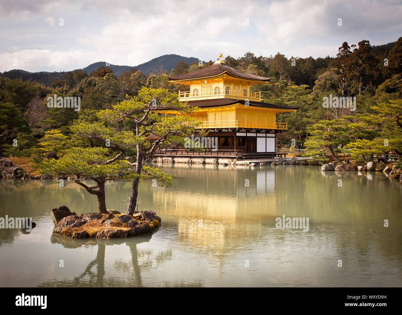 Kinkaku-ji der Goldene Tempel in Kyoto, Japan Stockfoto