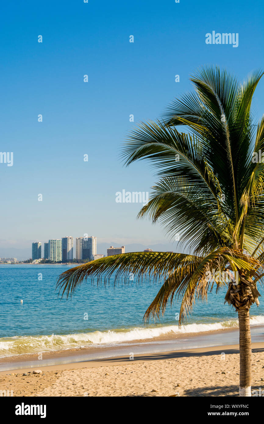 Playa Los Muertos Beach, Puerto Vallarta, Jalisco, Mexiko. Stockfoto