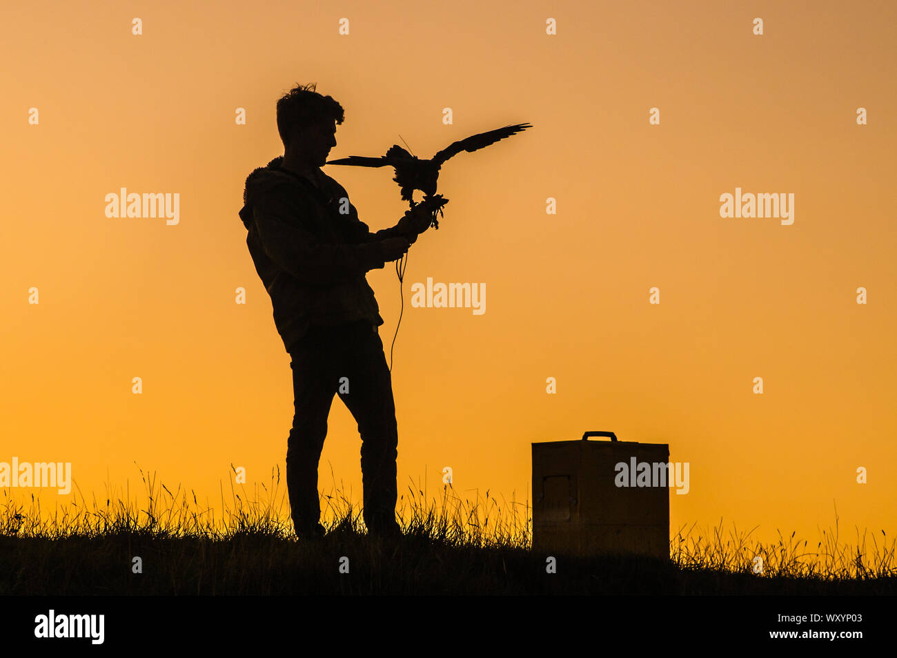 Alciston, East Sussex, UK.18. September 2019. Falconer Tiger Cox Silhouette bei Sonnenuntergang auf dem Hügel Bo-Peep. Tiger bietet Tandem-Paraglider-Flüge bei Fly Sussex an, wo Sie mit einem Greifvogel in seiner natürlichen Umgebung in den Himmel steigen können. . Stockfoto