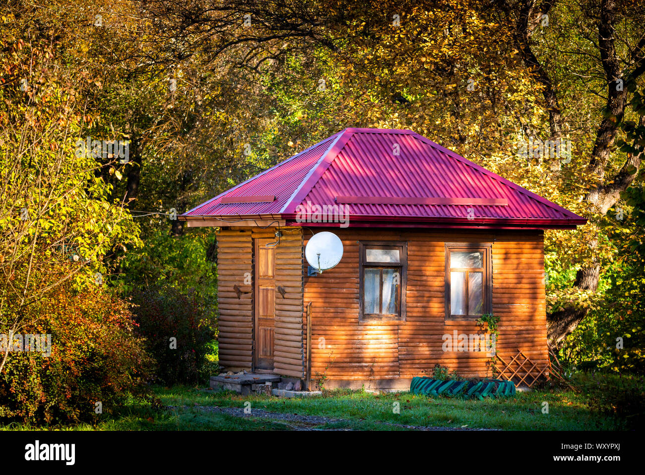 Ferienwohnung - Ferienhaus aus Holz im Wald im frühen Herbst. Stockfoto