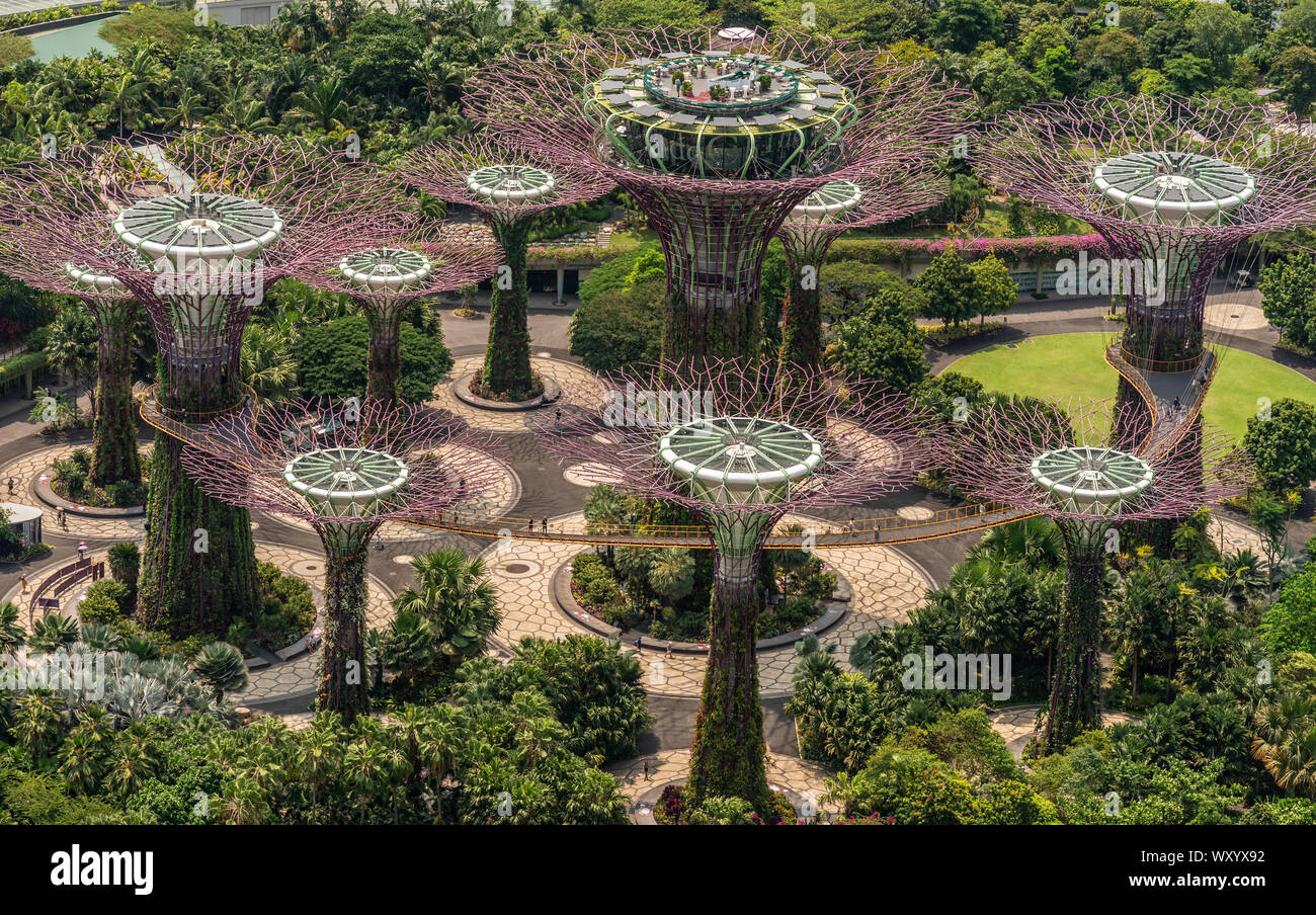 Singapur - 21. März 2019: Aufnahme von Sands Dach. Birds Eye Nahaufnahme von lila Supertree Grove in Gärten an der Bucht. Viel Grün. Kein Himmel, kein Wasser, Stockfoto