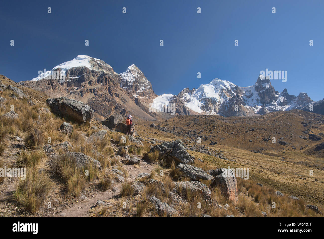 Der Blick auf den Cerro Sarapo Cuyoc und aufsteigender Cuyoc Pass, Cordillera Huayhuash, Ancash, Peru Stockfoto