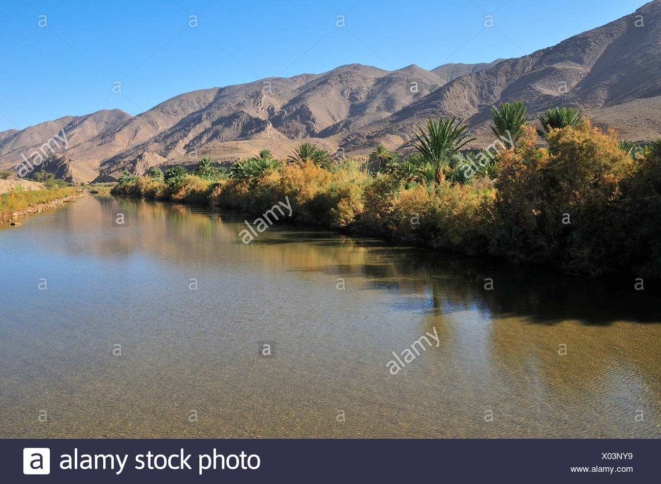 Fluss Phonix Stockfotos Und Bilder Kaufen Alamy