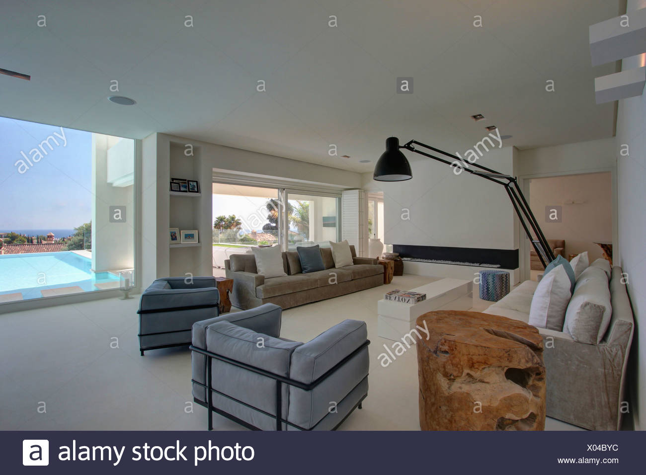 Anglepoise Stehleuchte Neben Wildleder Sofa In Grossen Modernen