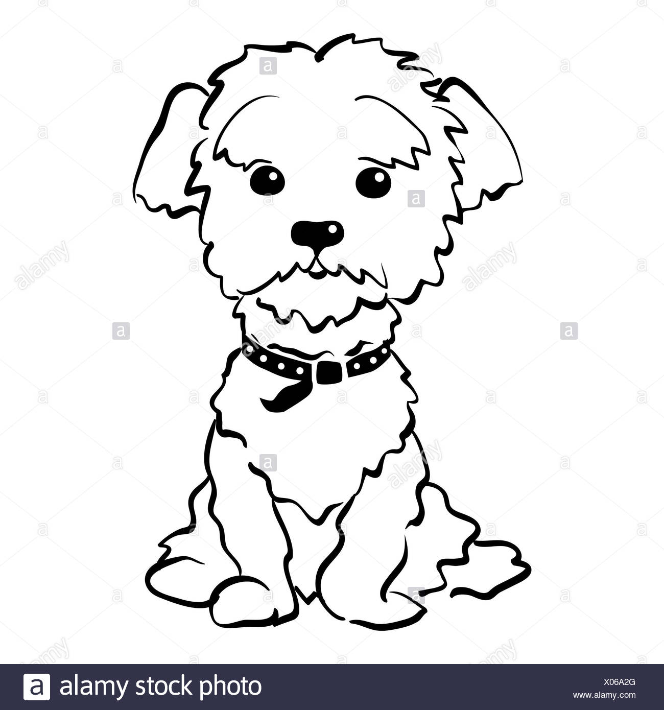 Malvorlage Malteser Hund