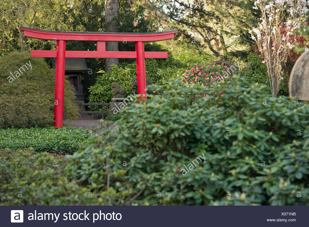 Japanischer Garten Karlsruhe Baden Wurttemberg Deutschland