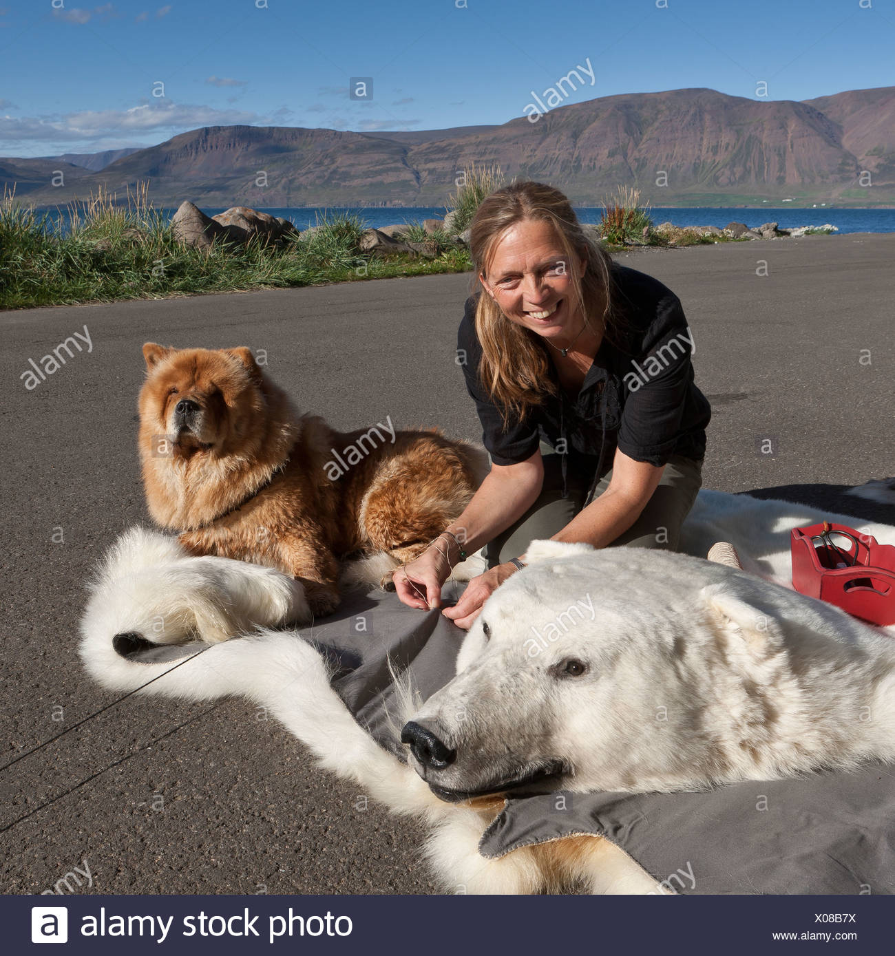 Nahen Ein Futter Auf Einem Eisbar Haut Teppich Akureyri Island