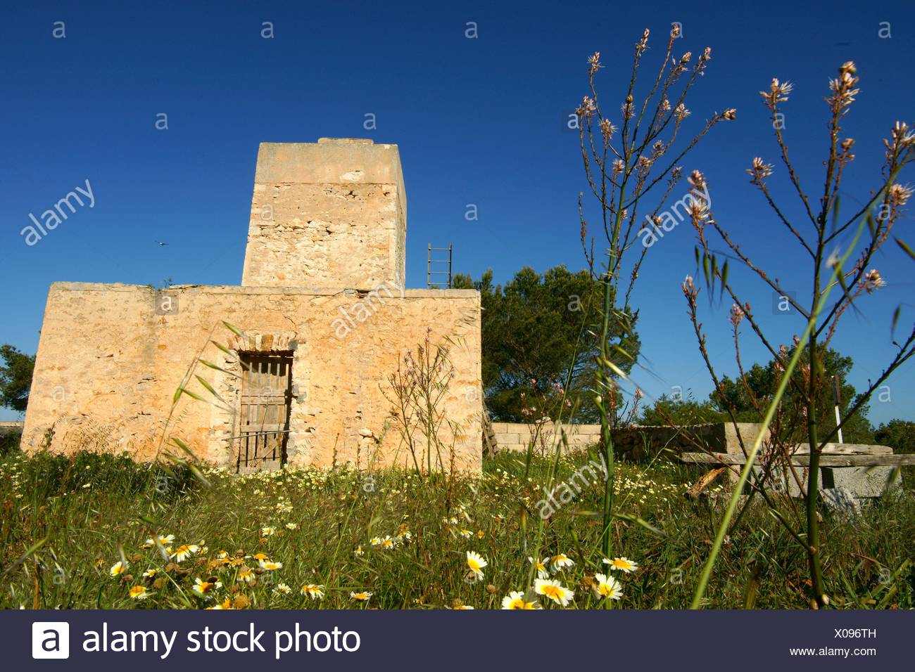 Sa Talaiassa La Mola Formentera Balearen Spanien Stockfotografie Alamy