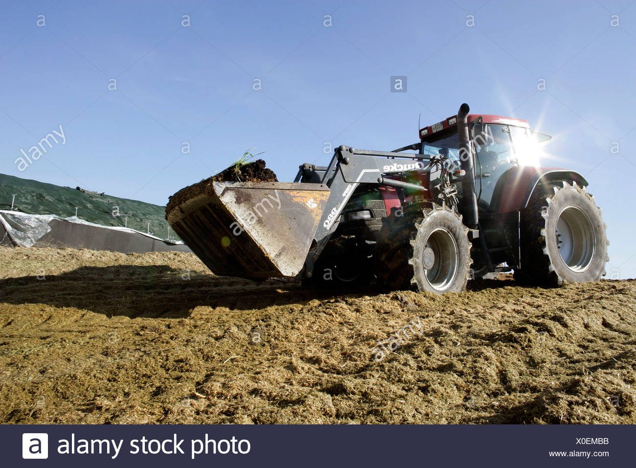 Frontlader Traktor Verbreitung Silage Fur Eine Biogasanlage Der Schmack Biogas Ag In Schwandorf Bayern Deutschland Europa Stockfotografie Alamy