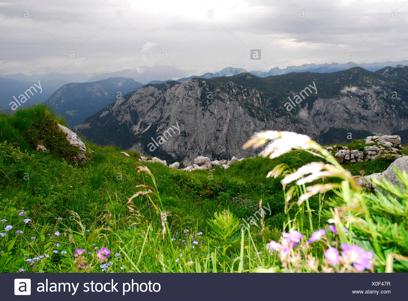 Naturschutzgebiet, Landschaft am Berg Berg Loser, Altaussee, Bad Aussee,  Ausseerland, Totes Gebirge, Salzkammergut Stockfotografie - Alamy