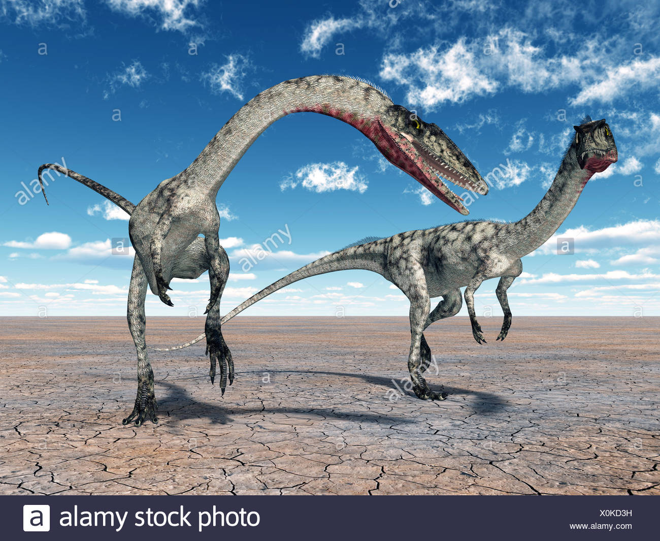 Dinosaurier Coelophysis Stockfotografie Alamy