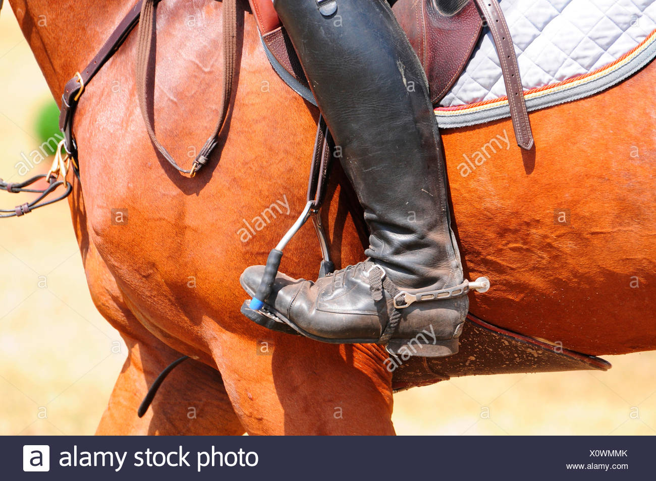 Reitsport Reiten Stiefel Sporen Getriebe Heften Stockfotografie Alamy
