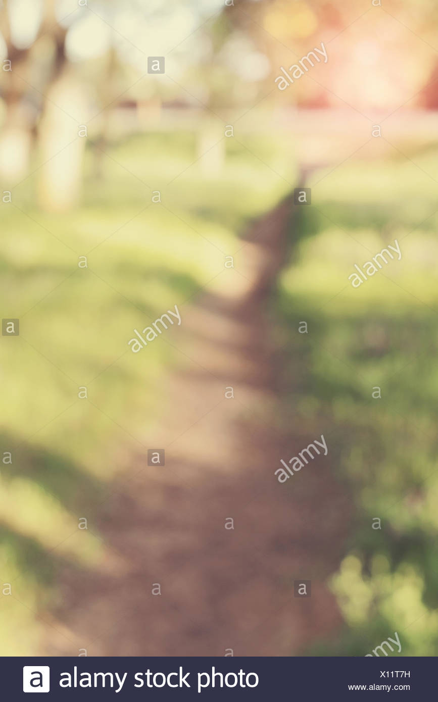 Verschwommene Natur Hintergrund Mit Instagram Stil Filter