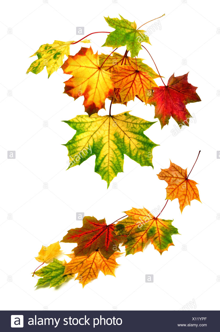 Blatter Herbstlaub Herbstlaub Hintergrund Hintergrund Laub Auseinander Stockfotografie Alamy