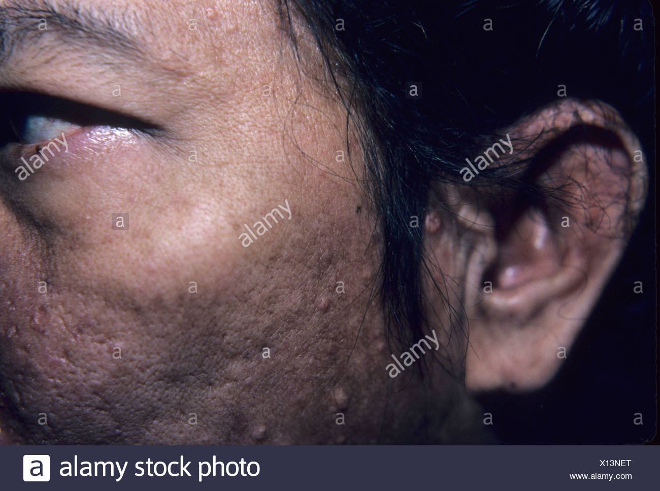 Papeln Stockfotos & Papeln Bilder Alamy