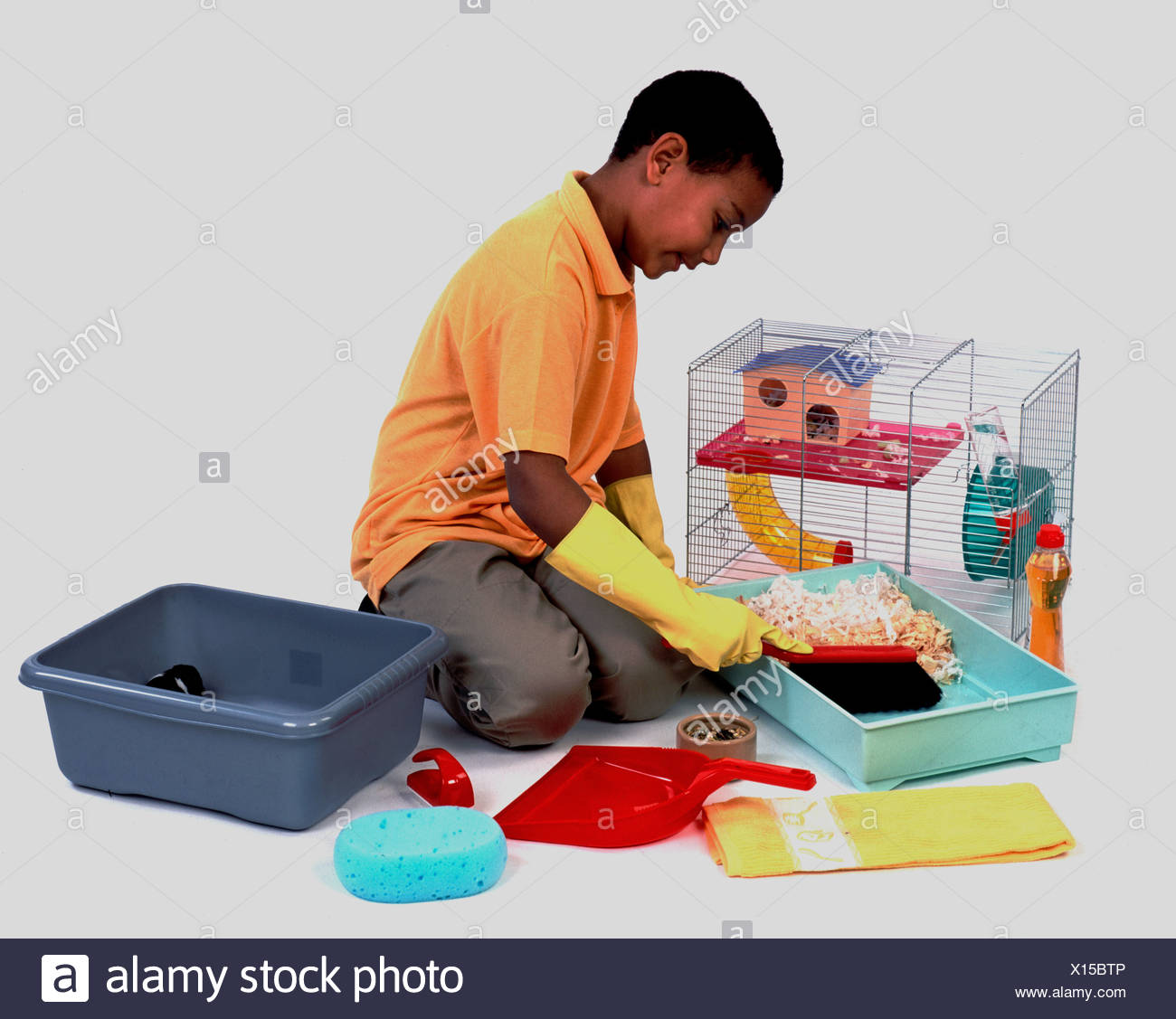 how do you clean a hamster