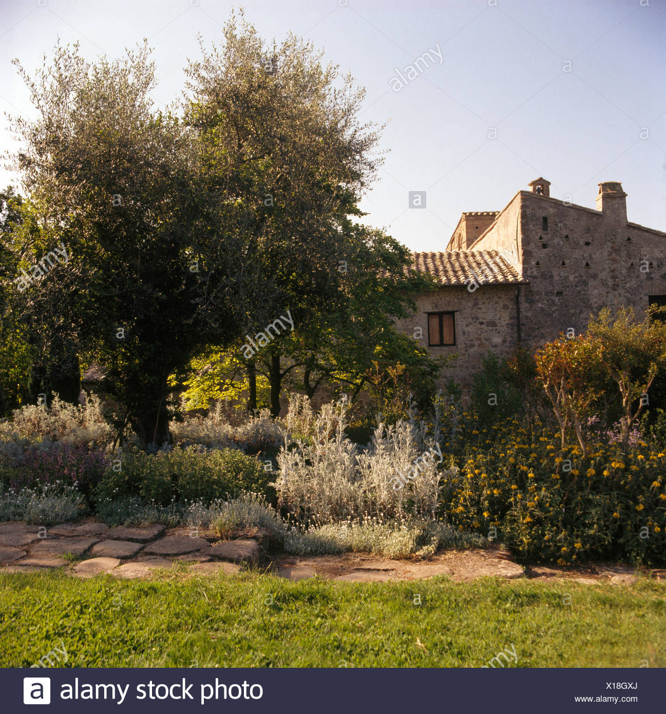Phlomis Und Kleine Baume Im Garten Des Italienischen Villa