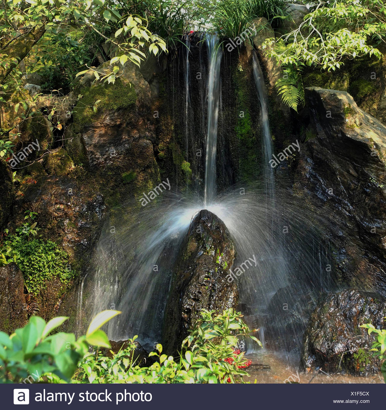 Harmonie Wasser Stein Wasserfall Japan Japanischer Garten