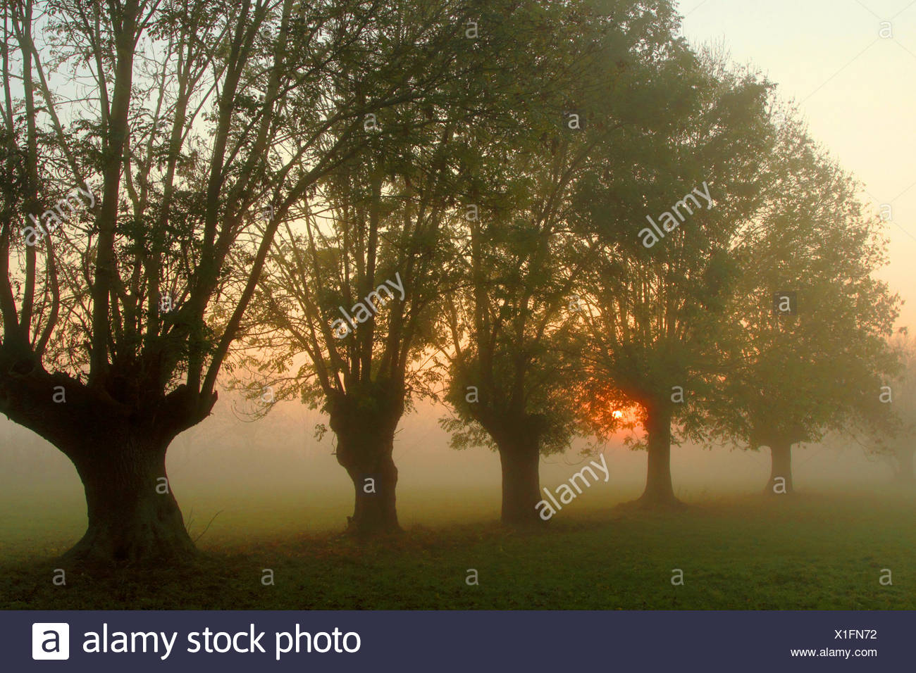 Lower Rhein Stockfotos Lower Rhein Bilder Alamy
