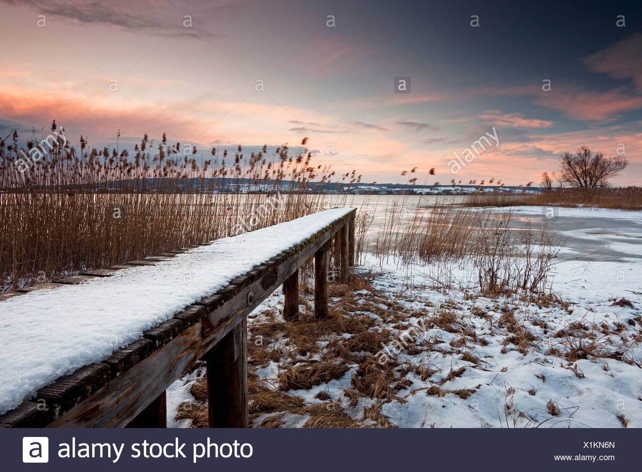 Steg Am Bodensee In Der Nahe Von Hegne Auf Die Deutsche Bank Mit Schnee Baden Wurttemberg Deutschland Europa Stockfotografie Alamy