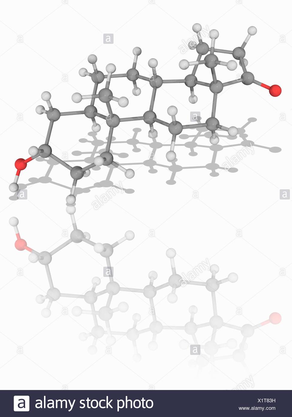 Androsteron Molekulmodell Steroidhormon Androsteron C19 H30 O2